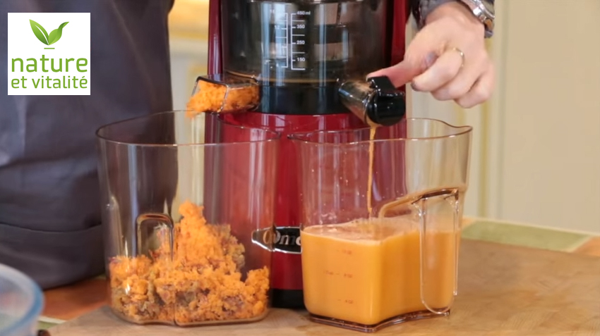 Utiliser la pulpe de l'extracteur de jus ? 10 conseils pratiques - Le Blog  de Nature et Vitalité